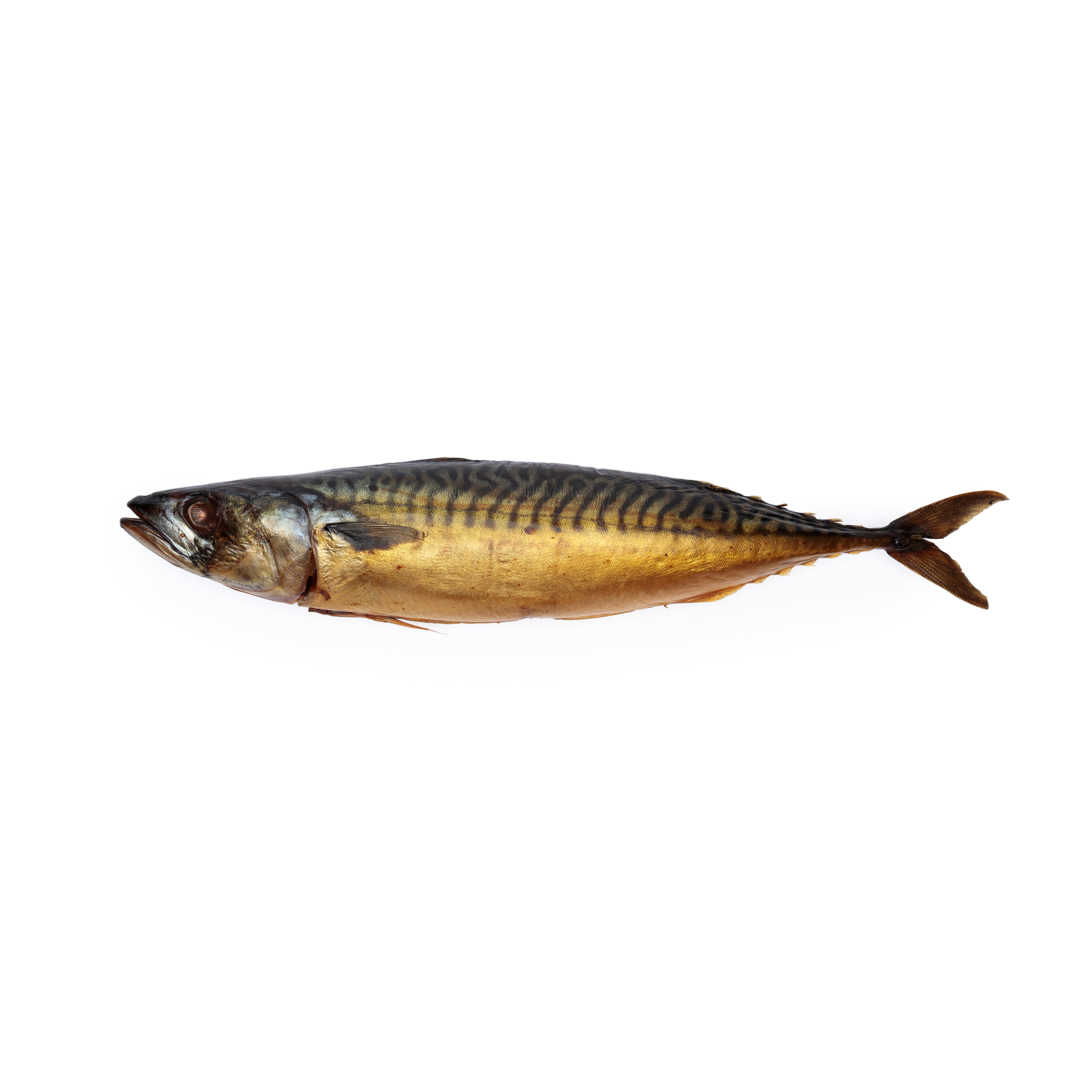 Cold Smoked Mackerel