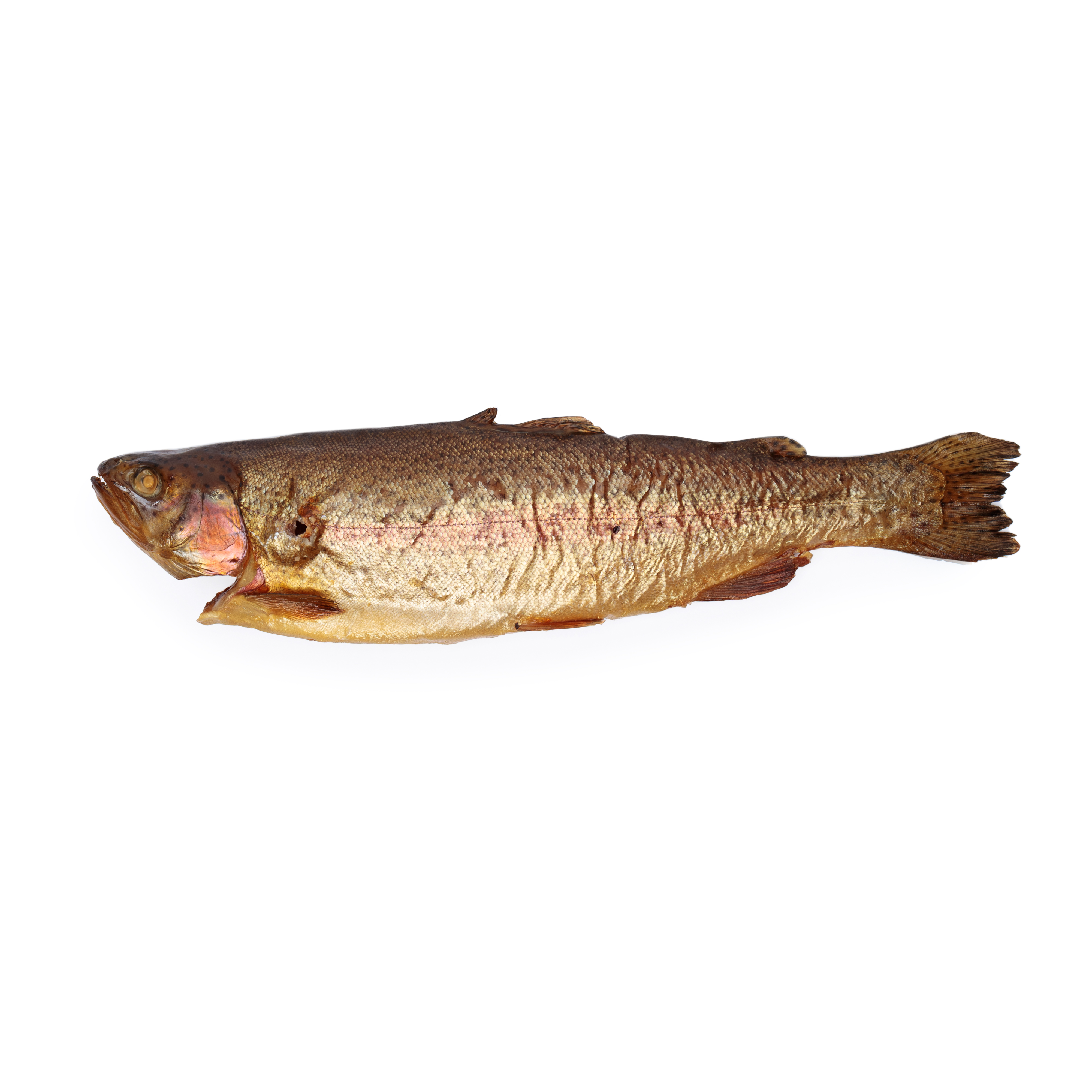 Hot Smoked Rainbow Trout