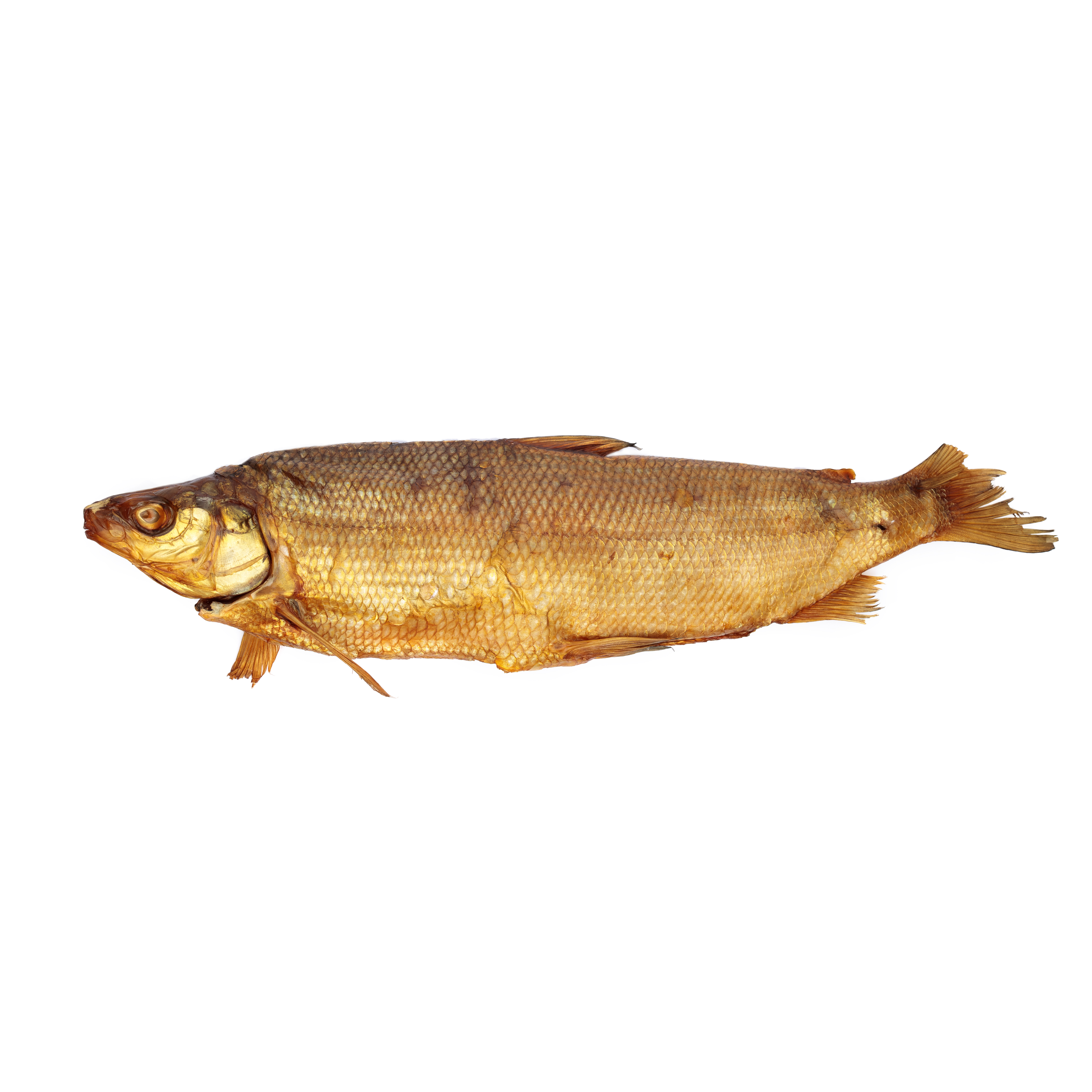 Cold Smoked Whitefish